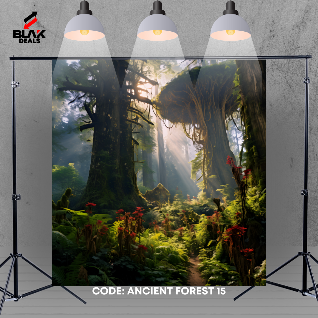 Ancient Forest Nature Family Maternity Couple Photography Backdrop Photoshoot | BLAK Deals