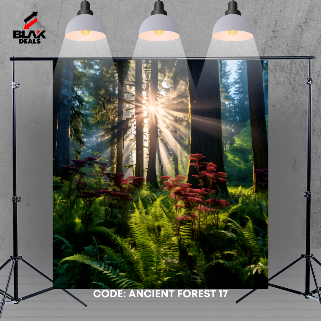 Ancient Forest Nature Family Maternity Couple Photography Backdrop Photoshoot | BLAK Deals