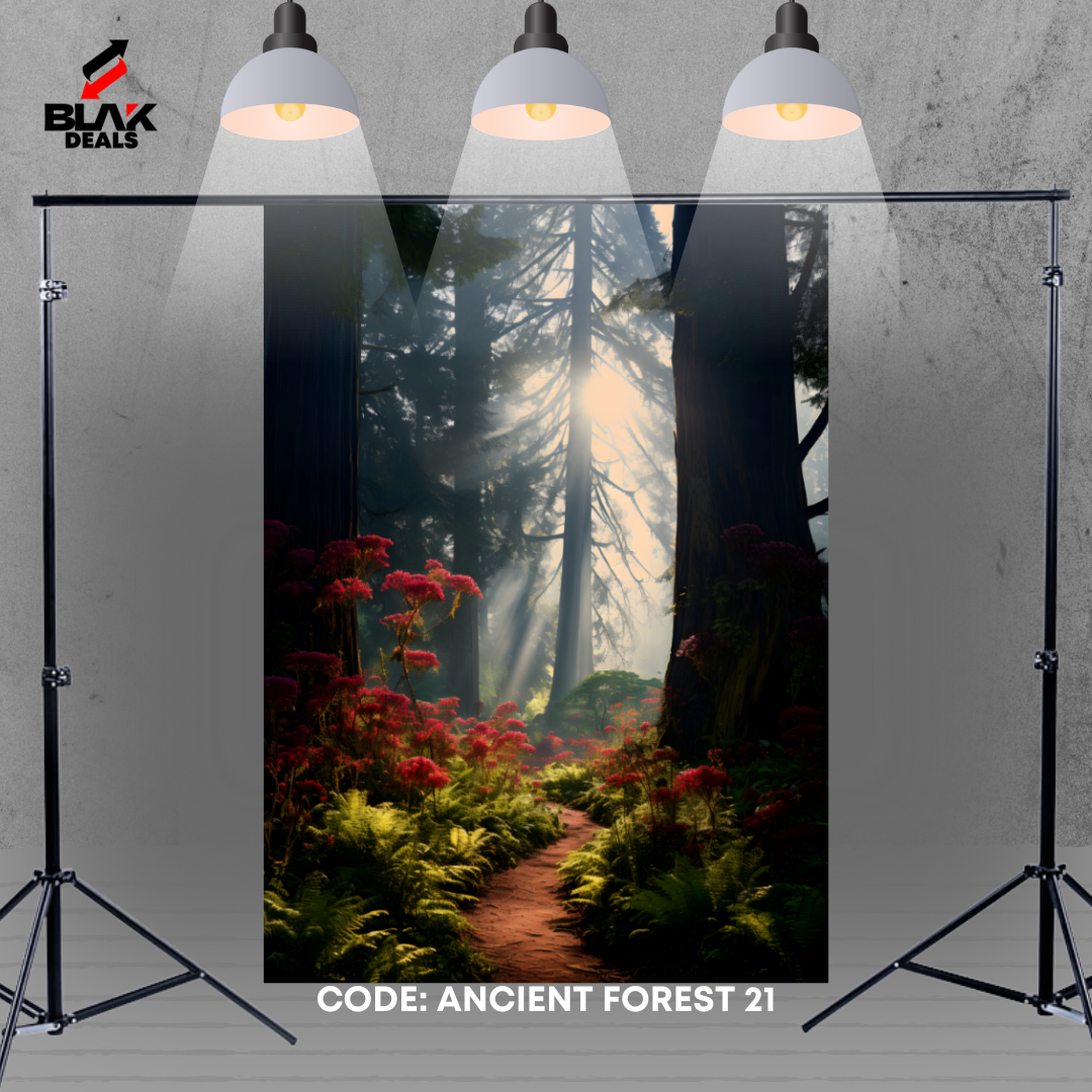 Ancient Forest Nature Family Maternity Couple Photography Backdrop Photoshoot | BLAK Deals