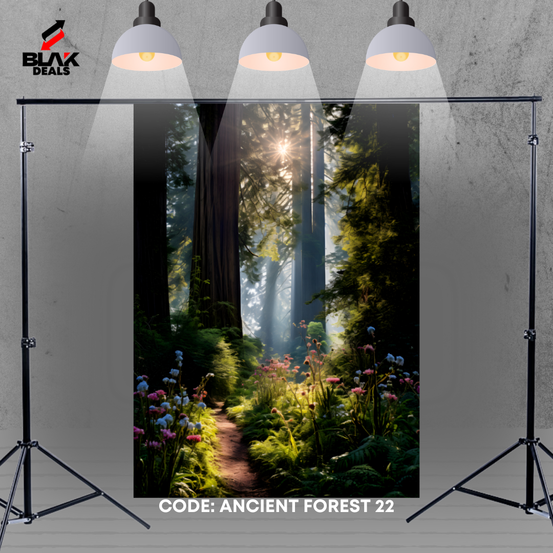 Ancient Forest Nature Family Maternity Couple Photography Backdrop Photoshoot | BLAK Deals