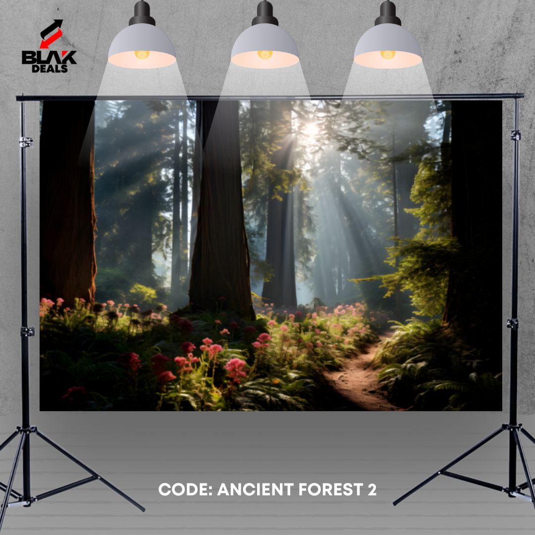 Ancient Forest Nature Family Maternity Couple Photography Backdrop Photoshoot | BLAK Deals