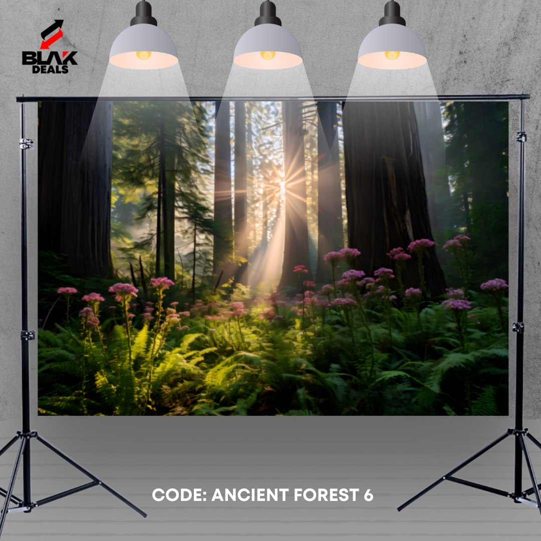 Ancient Forest Nature Family Maternity Couple Photography Backdrop Photoshoot | BLAK Deals