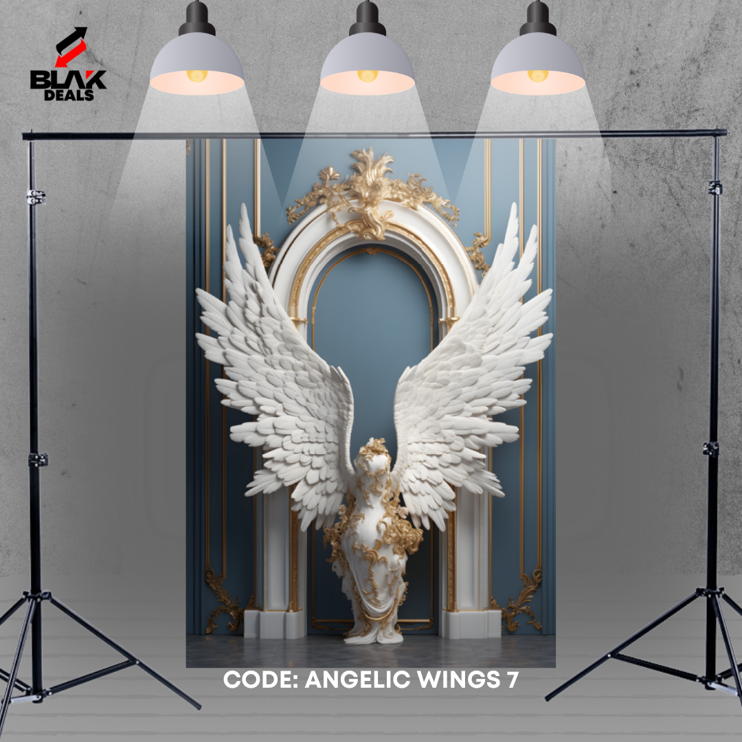Angelic Wings Maternity Portrait Photography Backdrop Photoshoot | BLAK Deals