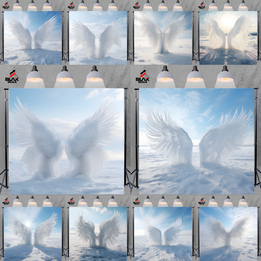 Snow Angel Wings Maternity Portrait WhitePhotography Backdrop Photoshoot | BLAK Deals